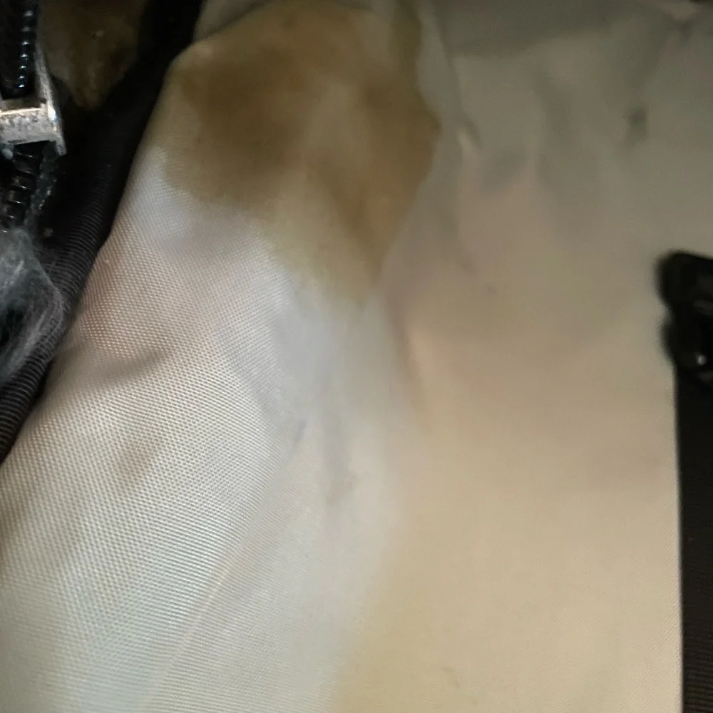 Swiss Army Backpack - Picture 8 of 9